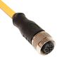MUELLER ELECTRIC C5C06M005