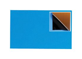 FORTEX FBDS203