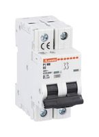 LOVATO P1MB2PD04 Thermal Magnetic Circuit Breaker, D Trip Curve, IP20/10 kA, P1MB Series, 4 A, 2 Pole, 125 V, 400 V