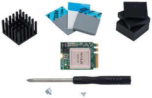 HAILO TECHNOLOGIES LTD HM218B1C2YAE Hailo 8 AI Starter Kit, M.2  Key A+E 2230, PCIe Gen3x2, 2.5W, 26 TOPS,-40 °C to 85 °C