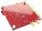 ANALOG DEVICES SC2200-EVK900