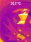 FLIR TG275